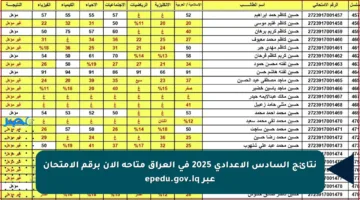 نتائج السادس الإعدادي 2025 في العراق متاحة الآن برقم الامتحان عبر epedu.gov.iq